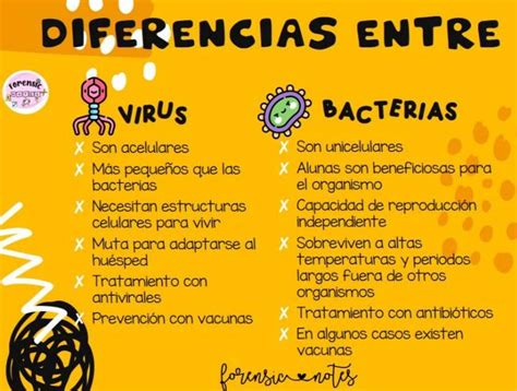 Diferencias Entre Virus Y Bacterias Forensic Notes Udocz