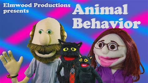 Animal Behavior Episode One Youtube