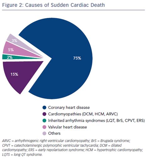 Figure 2 Causes Of Sudden Cardiac Death Radcliffe Cardiology