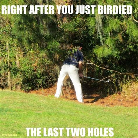 best funny golf memes and pictures in 2023
