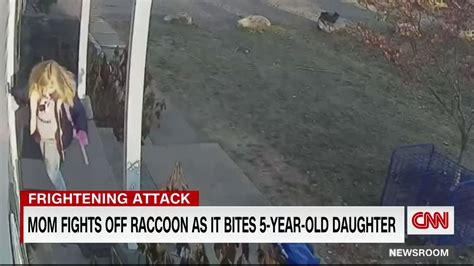 Surveillance Footage Shows A Mother In Ashford Connecticut Fight Off A Raccoon After It Bit