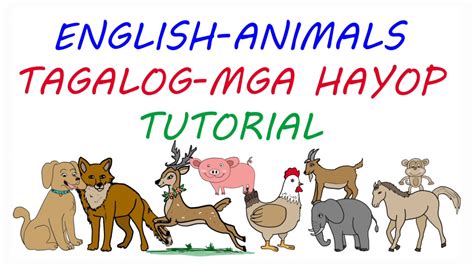 English Tagalog Tutorial Animals Mga Hayop Happie Superkids Youtube
