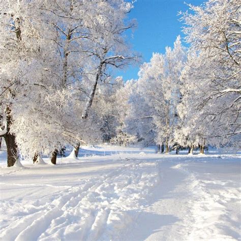 10 Most Popular Free Winter Wallpapers And Screensavers