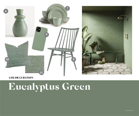 Color Curation Eucalyptus Green The Shade Youll Be Seeing Everywhere