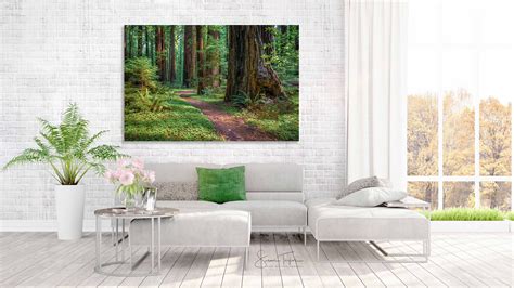 Redwood Tree Photography Large Nature Canvas Redwood Tree Etsy Rustic Art Tree Photography