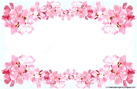 Pink Flower Wallpaper Border Full Hd Wallpapers