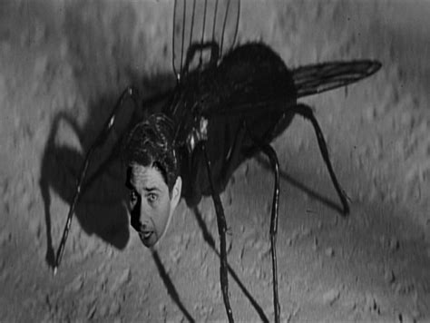 Return Of The Fly 1959 Midnite Reviews