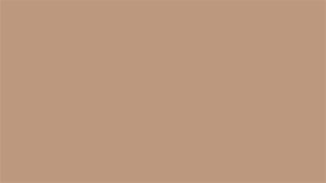 The color meaning of taupe shows us that blue on the color wheel chart is it's complement. 2560x1440 Pale Taupe Solid Color Background