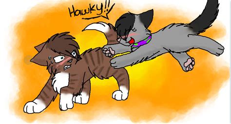 Hawkfrost And Bushi By Cascadingserenity On Deviantart