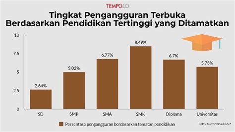 Data Statistik Tingkat Pendidikan Di Indonesia Next Tingkatan