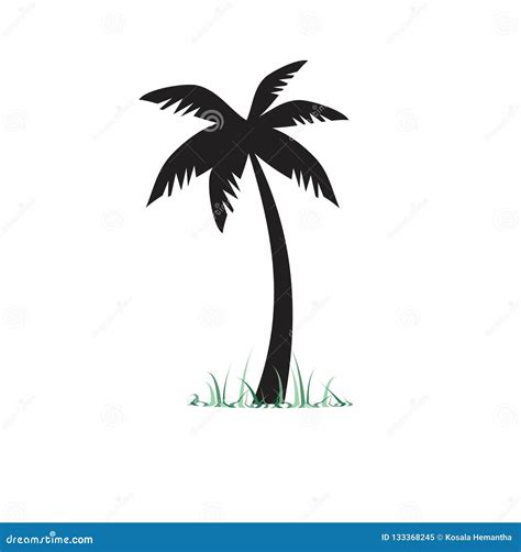 Coconut Tree Tree Vector Illustrator Stock Illustration