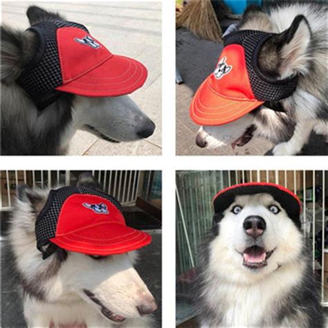 Buy Sun Hat For Dogs Cute Pet Dog Casual
