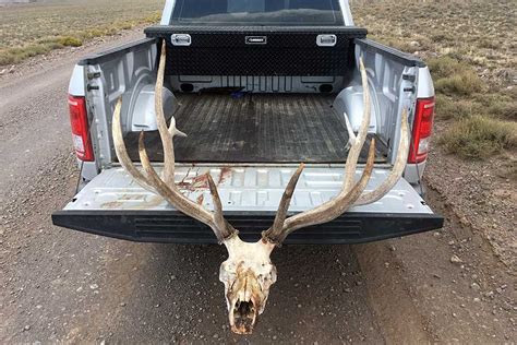 Reuniting Elk Hunter And Lost Bull 6 Years After The Hunt The Rogue