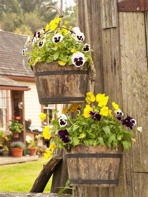 This article says to avoid winy places for growing sunflowers, which is the one part of. Container Gardening In Cold Weather - Container Gardening ...