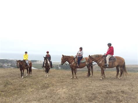 Horse N Around Trail Rides Bodega Bay 2020 All You Need To Know