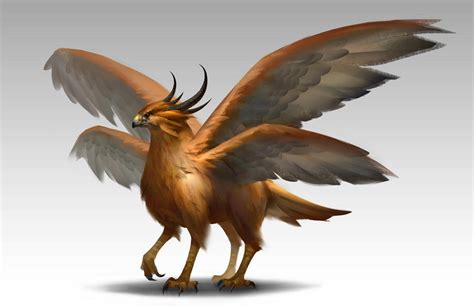 Griffin By Nathanparkart On Deviantart