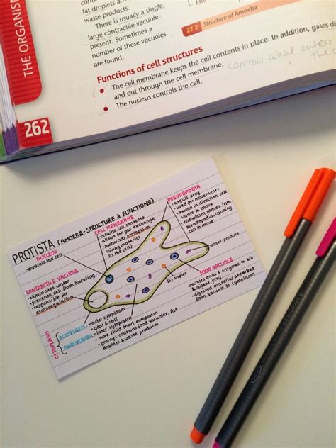 How To Make Good Revision Cards Top Tips For Using Gcse Maths