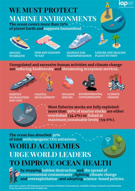 Protection Of Marine Environments Infographic