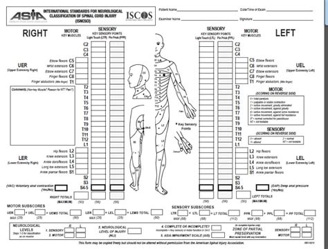 Info Sehat Spinal Cord Injury Sci