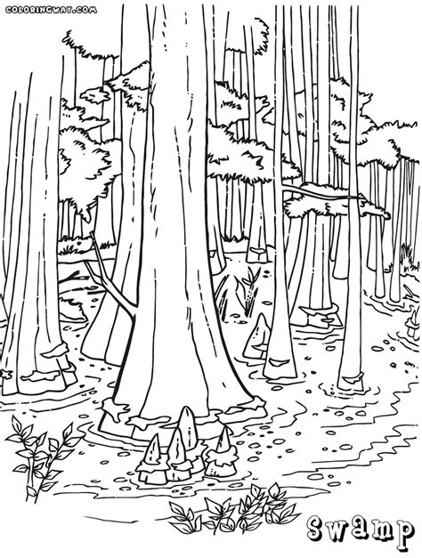 Swamp coloring pages | Coloring pages to download and print
