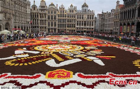 1800 Square Meters Flower Carpet Unveiled At Brussels Grand Place