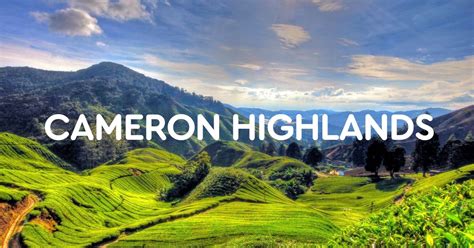 This area is popular because of its cool. Penginapan dan homestay di Cameron Highlands. Homestay ...