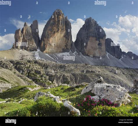 Tre Cime Di Lavaredo Three Merlons Meadow Alpenrose Rhododendron