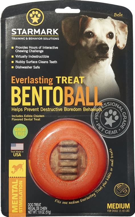 Starmark Everlasting Bento Ball With Dental Treat Tough Dog Chew Toy
