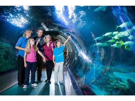 Sea Life Orlando Aquarium Orlando Travel Attractions In Orlando