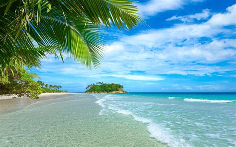 Wallpaper Blue Sea And Sky Beach Coast Palm Trees Tropical Water 3840x2160 Uhd 4k Picture