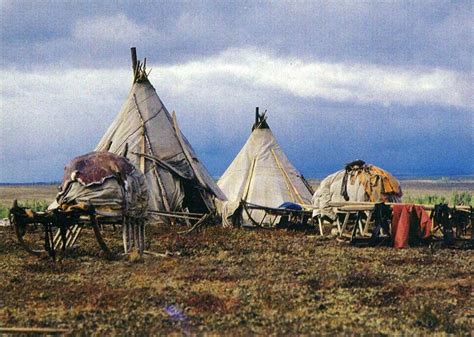 Ethno Nomad Camp “nomadism Of Taimyr” In Dudinka Norilsk Tour