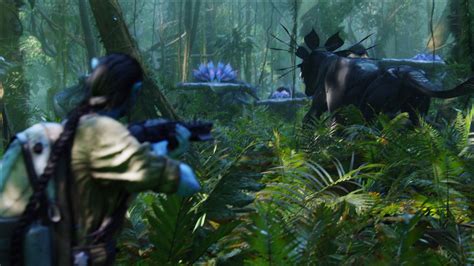Thanator And Hammerheads Avatar Shot By Shot Creatures