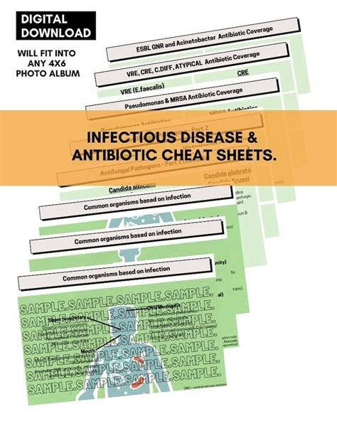 Antibiotic Infectious Disease Cheat Sheet 4x6 Digital Etsy