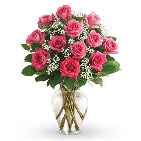 Dozen Hot Pink Rose Vase Royalty Flowers