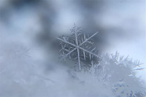 How Do Snowflakes Form Is Each Snowflake Really Unique Why Is Some