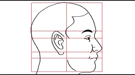 How To Draw A Human Head Youtube