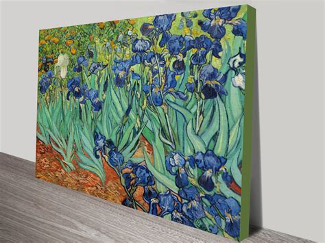 Irises By Vincent Van Gogh Canvas Wall Art Print Perth