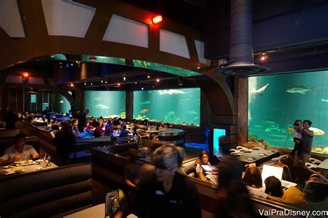 Sharks Underwater Grill Restaurante Com Vista Para Aquário No Sea World