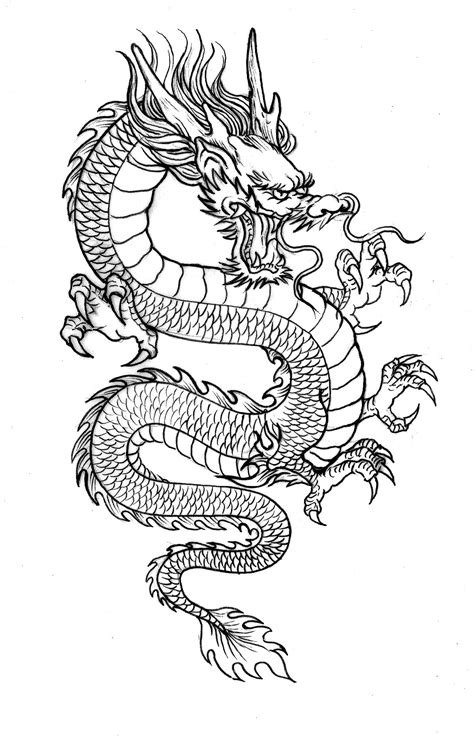Chinese Dragon Line Drawing At Explore Collection