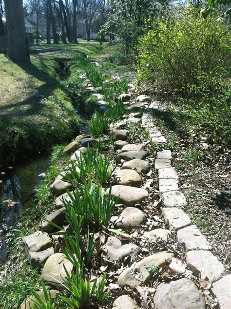 Stream Bank Erosion Control Using Rocks And Flowering Plants