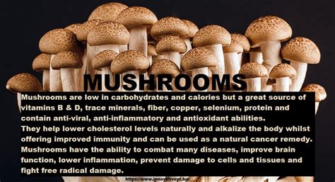 Mushroom Facts