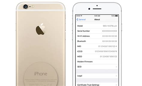 Check your apple warranty status. Apple Serial Number: Why Is It Important | iGotOffer