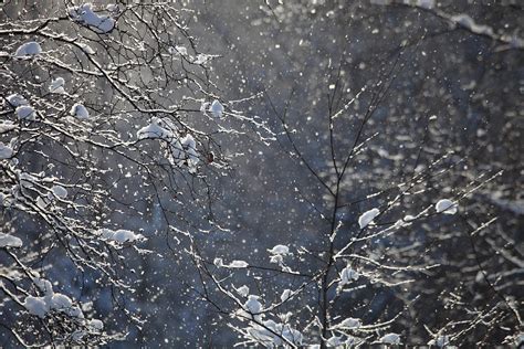 Snowfall And Sunlight Photograph By Ulrich Kunst And Bettina Scheidulin