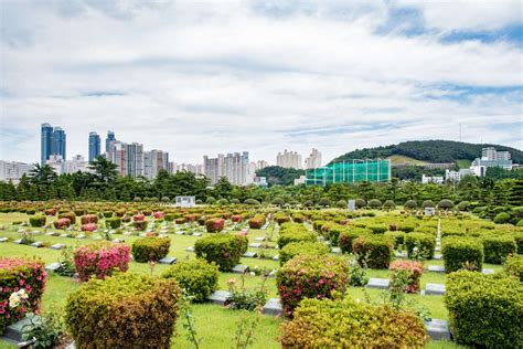 United Nations Memorial Cemetery In Busan Korea