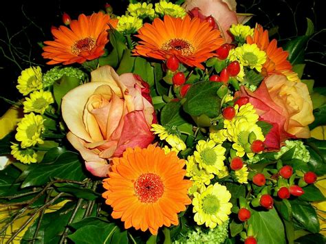 Dekorative malerei blume bild die beste schöne leinwand kunst für wohnzimmer wand home decor ölgemälde. Blumen Arrangement Foto & Bild | spezial, herbst, blumen ...
