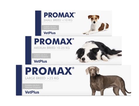 Vetplus Promax Probiotic Für Kleine Rassen 9ml De
