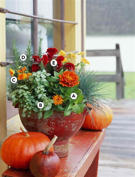31 Fall Container Garden Ideas Better Homes And Gardens