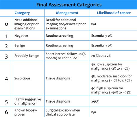 Bi Rads Classification 2024 Vyky Amaleta