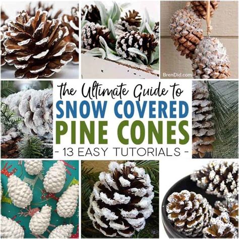 How To Make Snow Covered Pine Cones An Ultimate Guide
