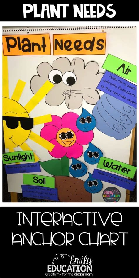 Plant Needs Activities Kindergarten Anchor Charts